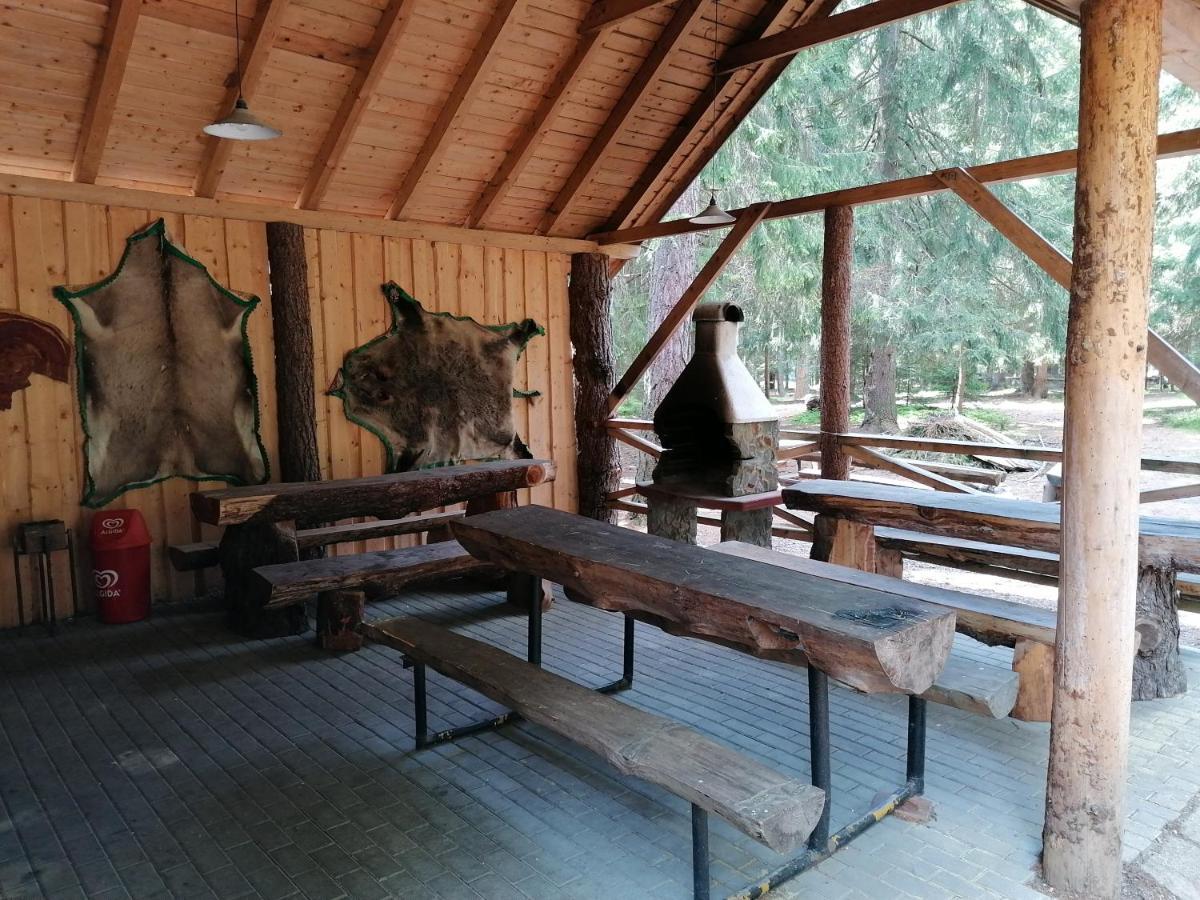 Bungalovy Pri Hoteli Spojar Žiar エクステリア 写真