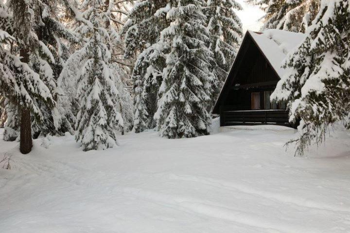 Bungalovy Pri Hoteli Spojar Žiar エクステリア 写真