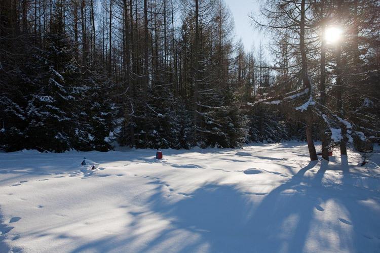 Bungalovy Pri Hoteli Spojar Žiar エクステリア 写真