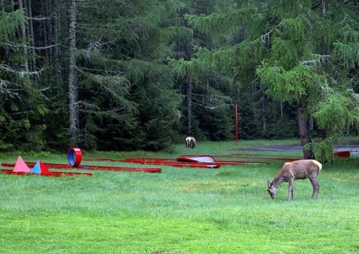 Bungalovy Pri Hoteli Spojar Žiar エクステリア 写真